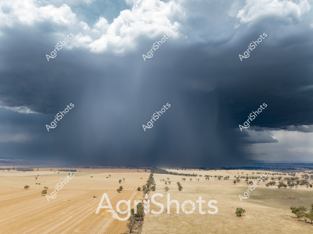 A dramatic storm cloud looms over a rural Australian landscape, creating a powerful atmospheric scene of imminent rainfall across an expansive agricultural setting. Brilliant blue-gray storm clouds cascade down in dense curtains of precipitation, dramatically framing a patchwork of agricultural terrain - with golden harvested paddocks on one side and sparse grasslands on the other. Scattered eucalyptus trees punctuate the landscape, their silhouettes standing resilient against the approaching weather system. The image captures the raw, elemental nature of Australian agricultural environments, where dramatic sky formations and sudden weather changes are integral to the farming experience. The stark contrast between the dry, golden fields and the intense storm clouds highlights the critical importance of rainfall in agricultural regions, where moisture can mean the difference between prosperity and drought.

The photographic composition emphasizes the vast, open scale of the Australian rural landscape, with its wide horizons and dramatic meteorological dynamics. Sunlight breaks through the dense cloud formations, creating ethereal light rays that illuminate sections of the terrain, adding a sense of dramatic visual tension to the scene.