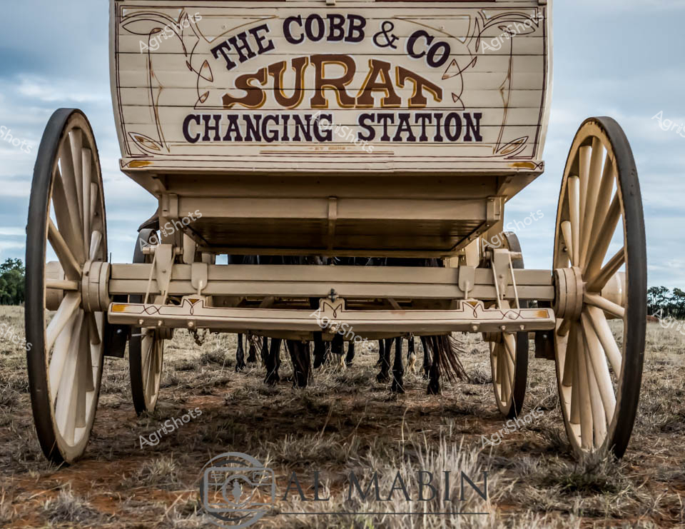 Weathered and majestic, this vintage wagon stands as a testament to Australia's pastoral heritage, capturing a moment frozen in time on the dusty stock route. The Cobb & Co Surat Changing Station sign adorns a classic horse-drawn wagon, its massive wooden wheels and intricate undercarriage telling stories of long journeys across rugged Queensland landscapes. Soft gray-blue skies blend with the muted tones of dry grasslands, creating a stark backdrop that emphasizes the wagon's refined craftsmanship and historical significance. Large wooden wheels, meticulously constructed with wooden spokes and iron rims, anchor the wagon firmly to the sparse, sun-bleached ground, suggesting the robust engineering required for traversing challenging rural terrain. Ornate typography and decorative flourishes on the signage speak to the era's aesthetic sensibilities, while the carefully preserved wagon represents a critical piece of Australia's transportation and communication infrastructure during the pioneering days of settlement. This image captures the spirit of exploration, endurance, and the essential role of horse-drawn transportation in connecting remote communities across the expansive Australian countryside.