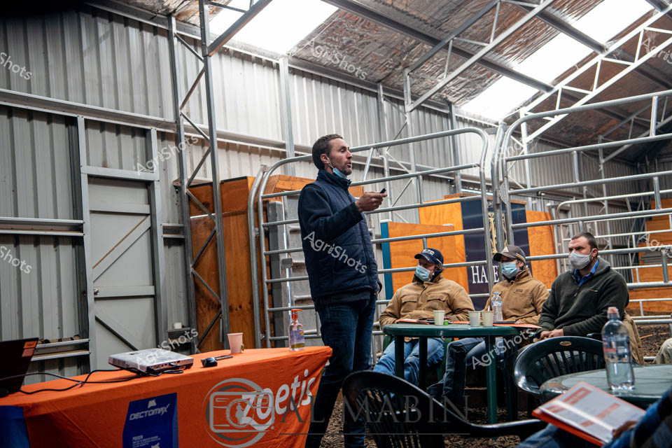 Rural agricultural meeting inside a steel-clad shed, capturing an intense moment of professional consultation. A presenter in a dark blue jacket stands confidently addressing three seated colleagues, all wearing protective face masks, suggesting a COVID-era farm management discussion. The interior features industrial metal framing, corrugated walls, and translucent roof panels allowing soft natural light to illuminate the space. An orange Zoetis-branded tablecloth signals a veterinary or agricultural product presentation, with water bottles and documents scattered across the meeting table. The participants appear focused and engaged, dressed in practical workwear ranging from tan work jackets to dark outdoor clothing, indicative of a serious livestock management or cattle health briefing. The metallic gray and orange color palette, combined with the industrial shed environment, creates a sense of pragmatic, purpose-driven agricultural innovation typical of modern farming operations in New South Wales.