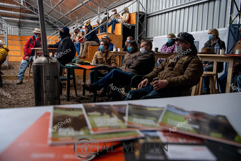 Rural agricultural workshop in a corrugated iron shed, capturing the essence of a livestock industry field day in New South Wales. Farmers and agricultural professionals gather in warm winter jackets and protective face masks, seated on wooden benches and chairs amid a gravel floor. The space feels purposeful and practical, with informational brochures and agricultural materials spread across tables in the foreground. Soft natural light filters through the metal structure, creating a muted, focused atmosphere of professional learning and livestock management. The audience appears attentive and engaged, suggesting a technical presentation or demonstration related to cattle breeding, stud management, or veterinary practices like vaccination. Brown and earthy tones dominate the scene - from the participants' clothing to the structural elements - reflecting the pragmatic and grounded nature of agricultural community knowledge sharing.