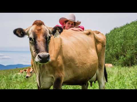 Agriculture and our economy
